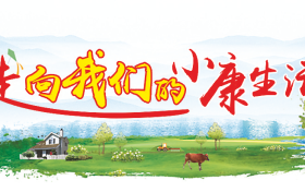 汉中市今年计划建设高标准农田30万亩
