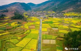 汉中油菜花海这样玩~缩略图 汉中油菜花海这样玩~缩略图