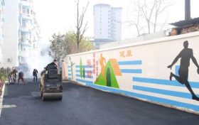 李剑歌督导检查全区“四改一拆一通一落地”工作缩略图