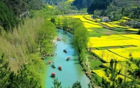 美炸了！汉中这里油菜花美景惊艳上线缩略图