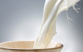 关于牛奶的十二个疑问缩略图