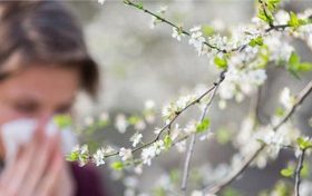 春天如何避开 花粉过敏缩略图 春天如何避开 花粉过敏缩略图