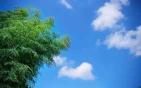 直接入夏!汉中气温将突破30℃缩略图 直接入夏!汉中气温将突破30℃缩略图