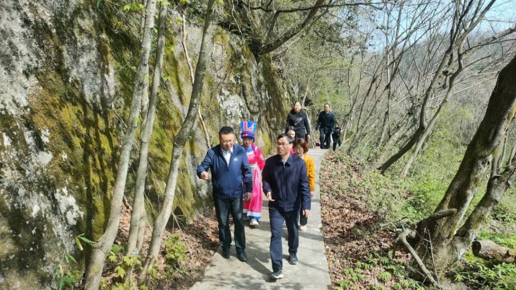 宁强县政协主席何建康调研汉江源景区项目建设情况插图2