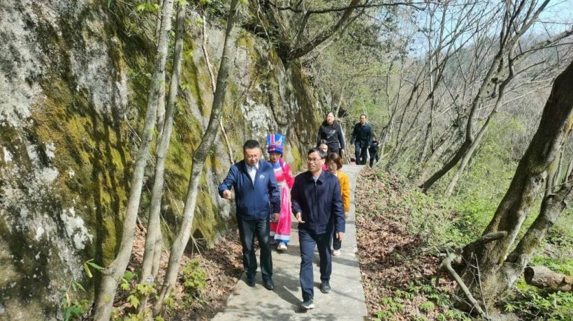 宁强县政协主席何建康调研汉江源景区项目建设情况插图7