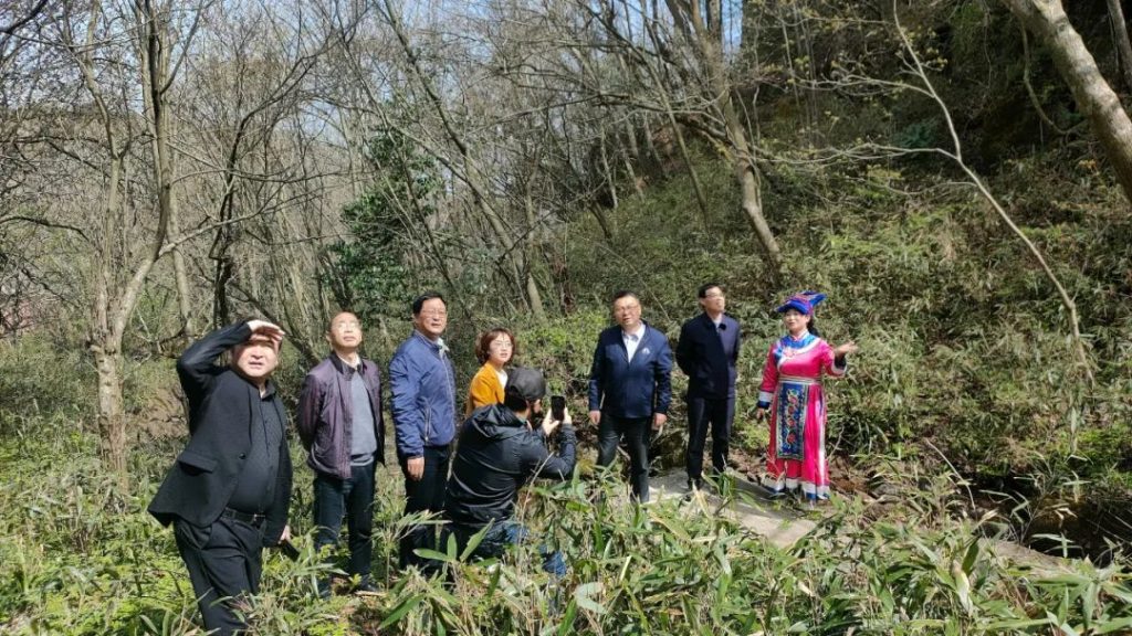 宁强县政协主席何建康调研汉江源景区项目建设情况插图3