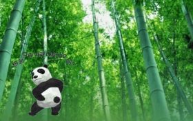 朋友圈可以养萌宠了!你决定养啥?缩略图 朋友圈可以养萌宠了!你决定养啥?缩略图