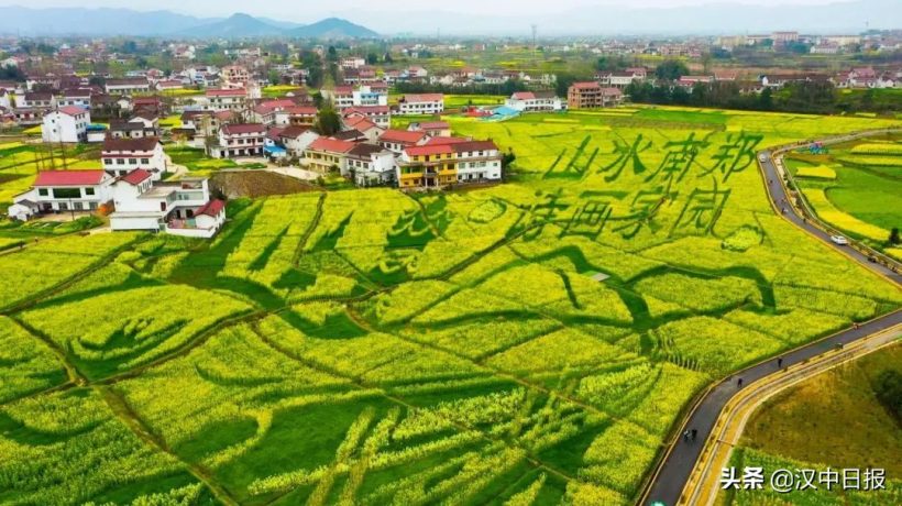 圆满落幕！1000万人参与！精彩→插图5