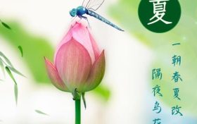 5日20时26分立夏:一朝春夏改,隔夜鸟花迁缩略图 5日20时26分立夏:一朝春夏改,隔夜鸟花迁缩略图