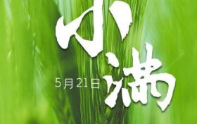 小满的“满”指的是什么?小满节气有什么特点?缩略图 小满的“满”指的是什么?小满节气有什么特点?缩略图
