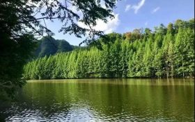 火爆出圈的汉中出游“顶流”,您最钟意哪一处?缩略图 火爆出圈的汉中出游“顶流”,您最钟意哪一处?缩略图