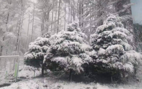 陕西多地5月飘雪!气象局连发12个预警 最低气温6℃……缩略图 陕西多地5月飘雪!气象局连发12个预警 最低气温6℃……缩略图