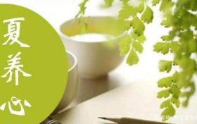 夏季重养心缩略图 夏季重养心缩略图