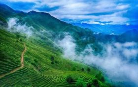 西北最大！就在汉中→缩略图