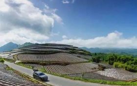 在南郑,这条“红色交通线”串起川陕乡亲美好新生活缩略图 在南郑,这条“红色交通线”串起川陕乡亲美好新生活缩略图