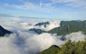 临时闭园公告！缩略图