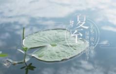 夏至已至!缩略图 夏至已至!缩略图