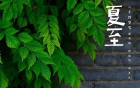 二十四节气·夏至丨星繁愁昼热 露重觉荷香缩略图