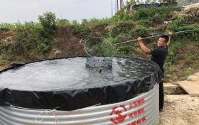 山地上养鱼?!在汉中实现了缩略图 山地上养鱼?!在汉中实现了缩略图
