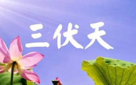 7月16日入伏：“三伏”长达40天 专家称要做好防暑降温缩略图