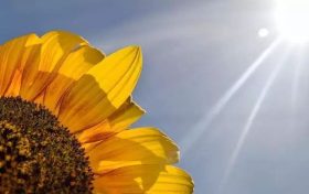 盲目追求“夏练三伏”不可取 专家送你份科学运动指南缩略图