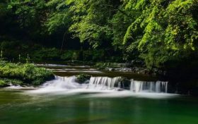 汉中避暑界的“顶流”,晚上还要盖棉被!缩略图 汉中避暑界的“顶流”,晚上还要盖棉被!缩略图