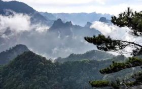 全市首个生物多样性联合保护基地在略阳成立缩略图 全市首个生物多样性联合保护基地在略阳成立缩略图