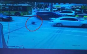 哐!“马大哈”行李箱掉落浑然不知…交警仅用半小时物归原主缩略图 哐!“马大哈”行李箱掉落浑然不知…交警仅用半小时物归原主缩略图