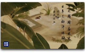 人间好时节丨大暑缩略图 人间好时节丨大暑缩略图