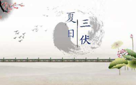 三伏天怎么吃,一次给您说明白缩略图 三伏天怎么吃,一次给您说明白缩略图