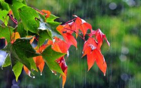 雨终于来了!未来三天陕西省大范围降水缩略图 雨终于来了!未来三天陕西省大范围降水缩略图