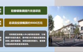 总项目投资约9000万元,南郑一镇提升改造项目缩略图 总项目投资约9000万元,南郑一镇提升改造项目缩略图