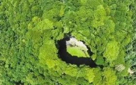 镇巴天坑首次发现大量古生物化石缩略图 镇巴天坑首次发现大量古生物化石缩略图
