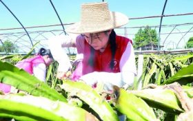 四问今夏超强高温天气:这么热正常吗?来年还会这么热吗?缩略图 四问今夏超强高温天气:这么热正常吗?来年还会这么热吗?缩略图
