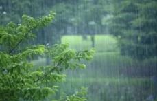 9月3日陕西大部地区有小雨 局地有中到大雨缩略图 9月3日陕西大部地区有小雨 局地有中到大雨缩略图