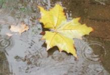阵雨,中雨,局地强降水,未来3天汉中市天气→缩略图 阵雨,中雨,局地强降水,未来3天汉中市天气→缩略图