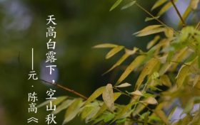 今日白露,勿忘添衣缩略图 今日白露,勿忘添衣缩略图