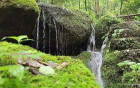 陕西降水、降温来袭!注意添衣御寒缩略图 陕西降水、降温来袭!注意添衣御寒缩略图