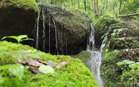 陕西降水、降温来袭！注意添衣御寒缩略图