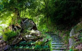 文明旅游 | 国庆假期,愿你我都是最美风景缩略图 文明旅游 | 国庆假期,愿你我都是最美风景缩略图