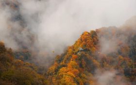 霜降 | 天上寒霜降，人间秋色深缩略图