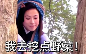 不懂就问!“王宝钏挖野菜”是个什么梗?缩略图 不懂就问!“王宝钏挖野菜”是个什么梗?缩略图
