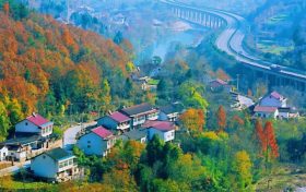 这是山城的邀约，快来略阳邂逅最灿烂的红叶缩略图