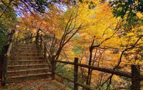 邂逅汉中这里，绵延山脉极致色彩等你来欣赏缩略图