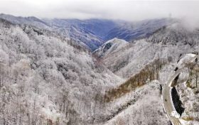你愿意和我来佛坪邂逅冬日里第一场雪吗缩略图 你愿意和我来佛坪邂逅冬日里第一场雪吗缩略图