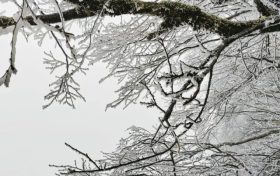云赏龙头山入冬初雪！雾凇奇观太美啦！缩略图