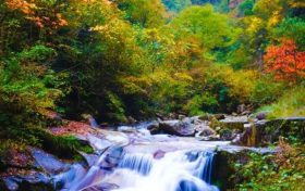洋县长青华阳景区恢复开园公告缩略图 洋县长青华阳景区恢复开园公告缩略图
