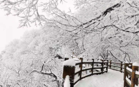 小雪:天寒将雪 贮藏御冬缩略图 小雪:天寒将雪 贮藏御冬缩略图