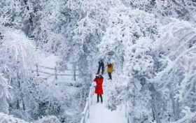 小雪已至，汉江源与你有约缩略图