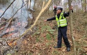 山坡烧树险酿祸 交警处置灭火患缩略图 山坡烧树险酿祸 交警处置灭火患缩略图